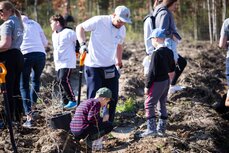 Tysiące dębów od KGHM w Międzynarodowym Dniu Ziemi (11).JPG