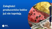 Grafika_producenci lodów