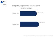 Wykres_zaległości producentów warzyw