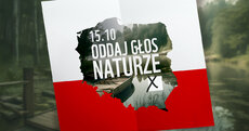 oddaj głos naturze.png