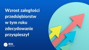 Grafika wzrost zaległości firm