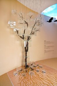 ddcrvisitorcentre-3dghaftree.jpg