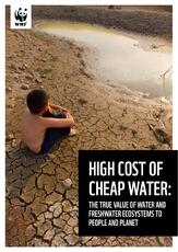 WWF High Cost of Cheap Water (FINAL LR for web).pdf