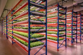 bustanica-insideworld039slargestindoorverticalfarm1.jpg