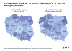 ZPF - Polacy a 800 plus - grafika - 2.png