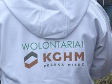 Wolontariusze KGHM posadzili kolejny las przy HMG (9).JPG