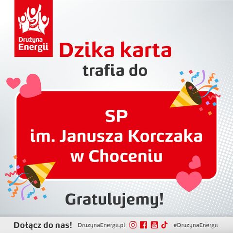 DE7 - finalista - Choceń