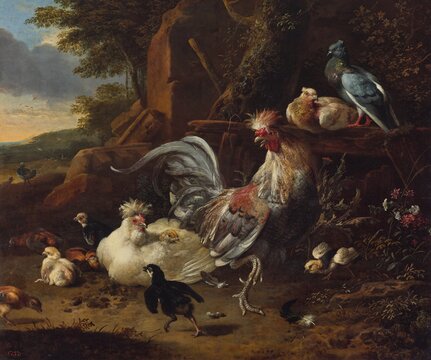 Melchior de Hondecoeter_Kogut i kura z kurczętami i gołębiami