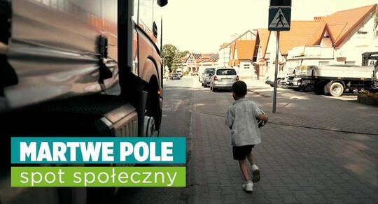 Martwe pole