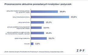 ZPF - Przeznaczenie kredytów i pożyczek - wykres.png
