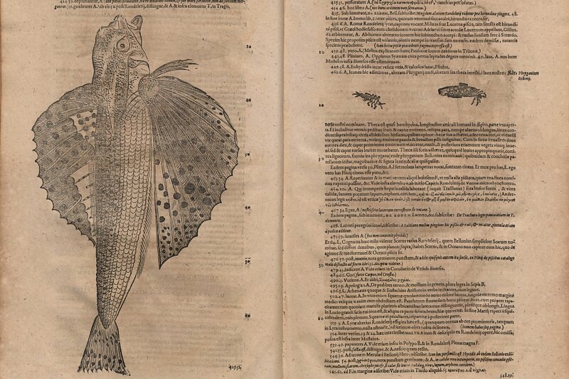Konrad Gesner „Historia animalum”, 1620
