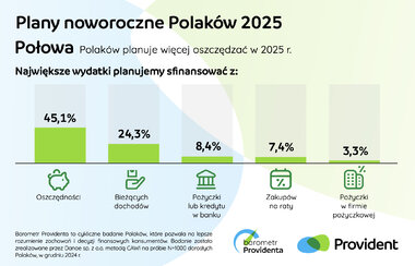 Grafika Plany noworoczne Polaków