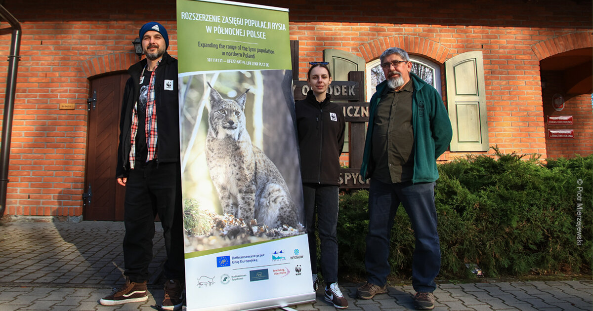 Mazurskie warsztaty na temat monitoringu rysi