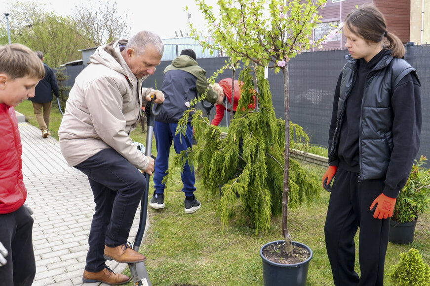 Domy Dobrej Energii, sadzenie drzew
