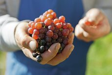 powrot-do-korzeni-z-roter-hahn-tam-gdzie-tradycja-ozywa_3-jpg