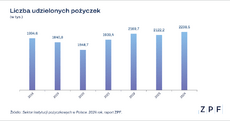 zpf-sektor-instytucji-pozyczkowych-2024-wykres-1-png