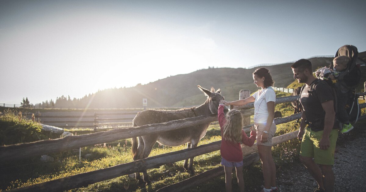 Południowy Tyrol pełen rodzinnych przygód