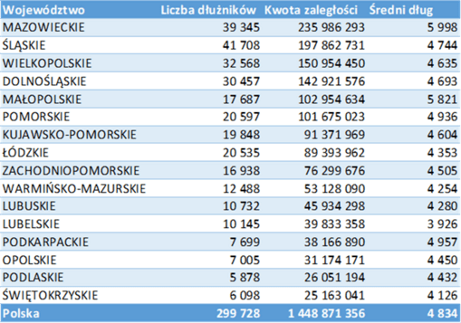 Zadłużenie woj  sektor telekomunikacyjny