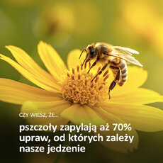edukacja_1-1200x1200-jpg