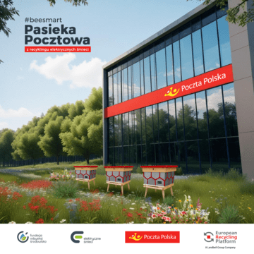 Pocztowa pasieka - grafika 