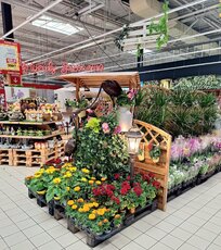 carrefour-targowek_ogrod-ii-jpg