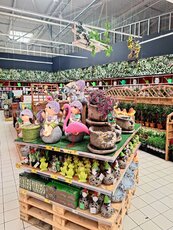 carrefour-targowek_ogrod-jpg