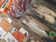 targi-rybne_carrefour_1-jpg