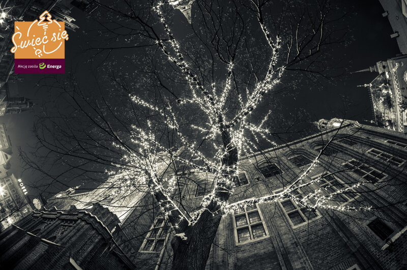 Finał 4. edycji „Świeć Się z Energą”