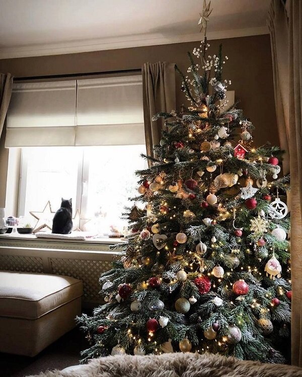 Mój Dom wyróżnienie - Jolanta Budzianowska