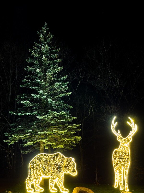 Mój Dom wyróżnienie - Karol Przybyła