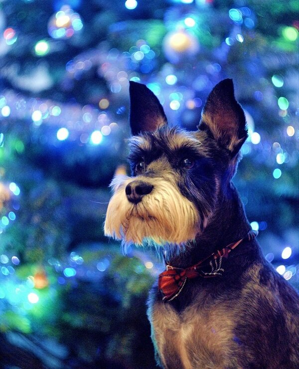Moi Bliscy wyróżnienie - Andrzej Firkowski