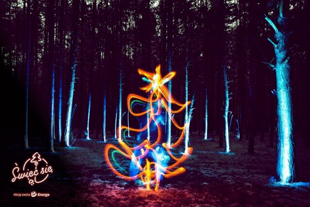 Grand Prix konkursu fotograficznego 10. edycji Świeć się z Energą: Grzegorz Porcz „Dzika choinka"