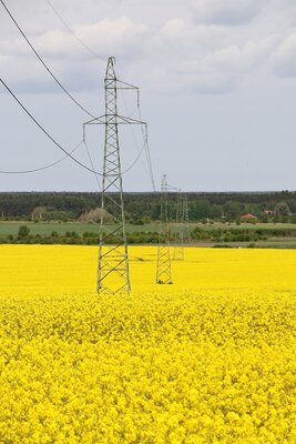 Enea Operator inwestuje w nowoczesną sieć  2
