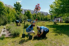 pocket-parks-1-jpg