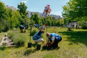 POCKET PARKS 1.jpg