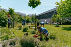 pocket-parks-2-jpg
