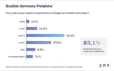 zpf-polacy-a-planowanie-budzetu-domowego-grafika-1-png