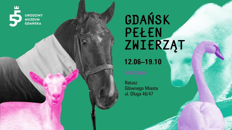 1920x1080 px GDANSK PELEN ZWIERZAT