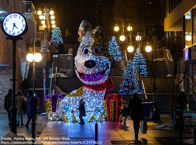 Bielsko-Biała Fot UM Bielsko-Biała 02