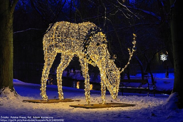 koszalin 01 fot Adam Konieczny znak