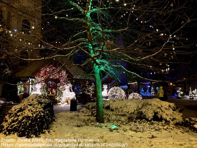 kalisz 01 magdalena furmaniak znak