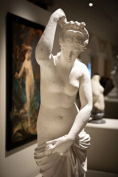 Anatomia antyku_Afrodyta Anadyomene wg Praksytelesa_Muzeum Uniwersytetu Jagiellońskiego