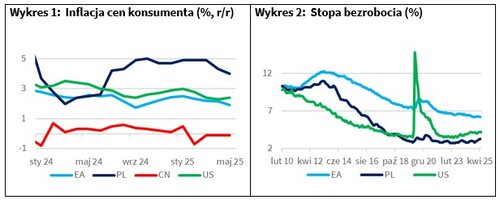 wykres 1