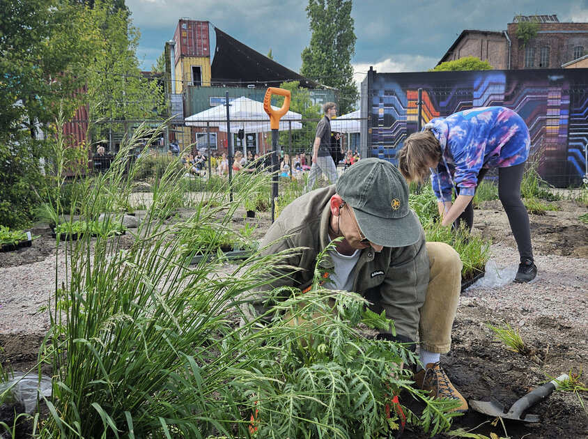 HUBA x Energa. Rośniemy