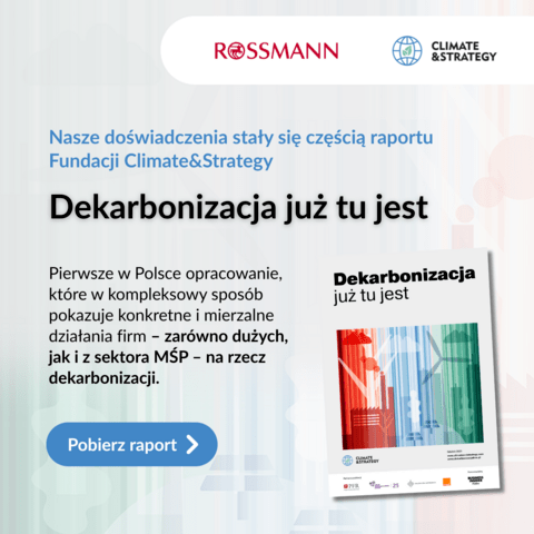C&S x Rossmann 02