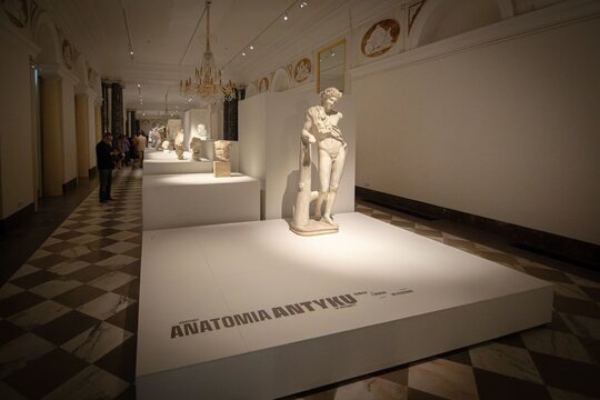 Anatomy of Antiquity. Body and Movement in Sculpture_temporary exhibition at the Royal Castle in Warsaw