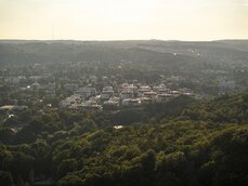 dominik_werner2-jpg