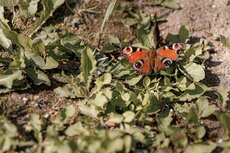 pgf_mg_0039_patryk-gradys_fullres-jpg