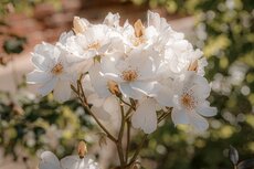 pgf_mg_0041_patryk-gradys_fullres-jpg