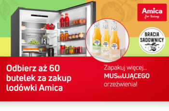 Amica